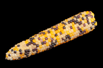 Decorative multicolor corn