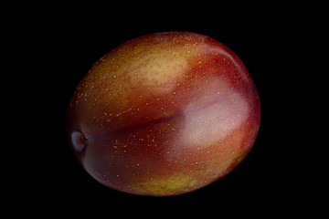 Obraz premium Purple plum on black