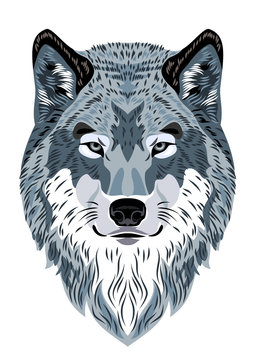 Beautiful portrait of a forest wolf