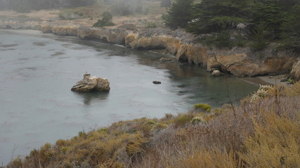 Point Lobos State Natural Reserve, Carmel California USA