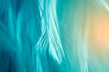 Fotobehang Beautiful green turquoise vintage color trends feather texture background with orange light  © nadtytok28