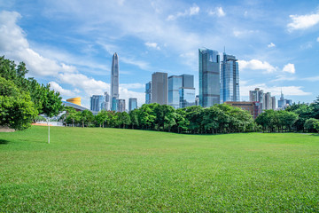 Fototapeta premium Shenzhen city skyline