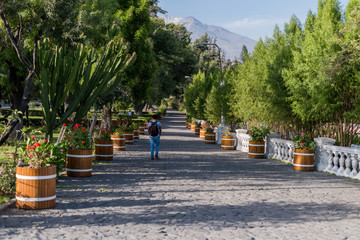 Joven caminando por un sendero con &aacute;rboles