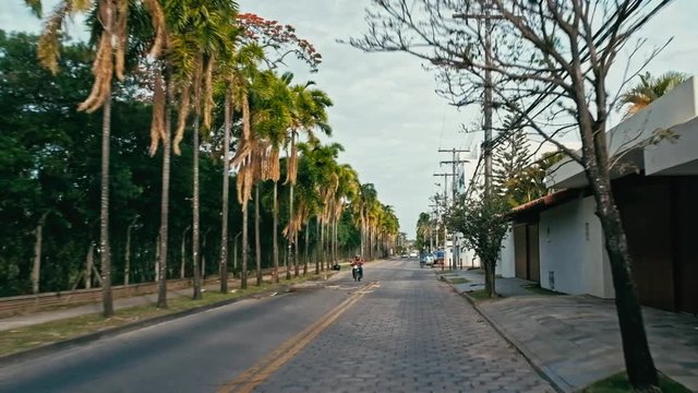 late afternoon ride across the city with tall palm trees next tu the road