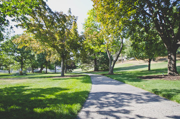 Looking down the walkway as it cuts through the trees and the sunlight at the local park. 