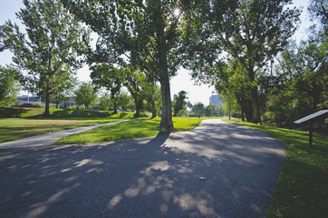 The paths under the shade and trees along side the signs as well. 