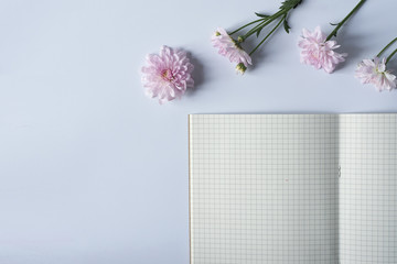 Top of view of empty opened grided notebook and pink flowers on white blackground with copyspace on the left.. Flat lay of working desk. Empty notebook for your text.