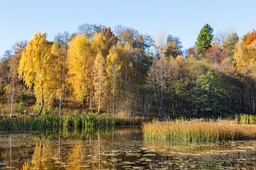 Lake landscape in autumn