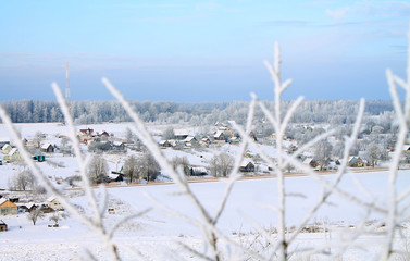 заснеженная и морозная зима
