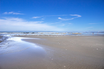 Coastal Ocean Beach Blue Sky Clouds Reflections and Sea Birds 