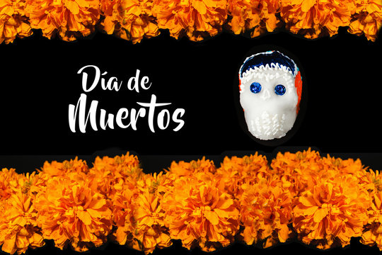 Dia De Los Muertos flor de cempasuchil, Day of the Dead offering in México  Stock Photo | Adobe Stock