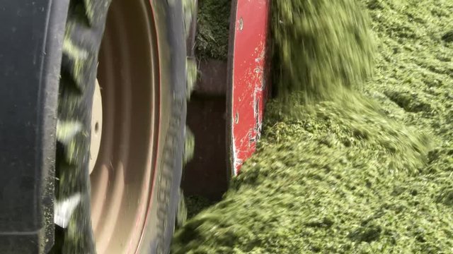 Trattore Agricolo lavorazione insilato