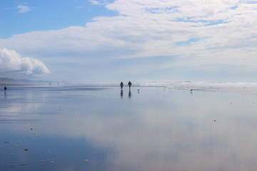 Coastal Ocean Beach Blue Sky Clouds Reflections and Sea Birds 