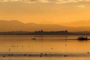 Naklejka premium Beautiful view of Trasimeno lake (Umbria, Italy) at sunset, with orange tones, birds on water, a man on a canoe and Castiglione del Lago town on the background