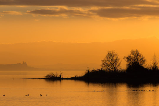 Beautiful view of a lake at sunset, with orange tones, birds on water and trees © Massimo