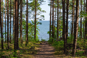 View of beautifull see landscape in Saaremaa, Estonia