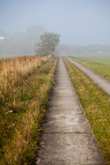 Weg im Nebel