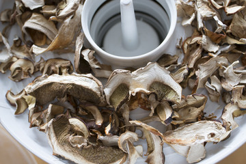Dried mushrooms - boletus, close up in the detail