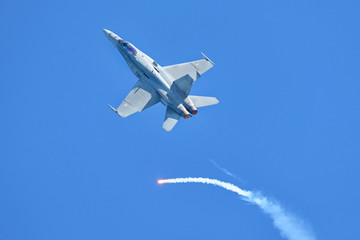 F-18 Fighter Jet - obrazy, fototapety, plakaty