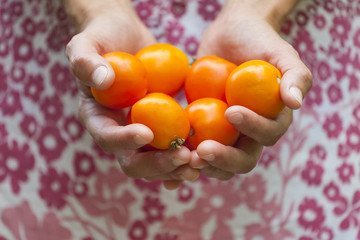 Small yellow tomatoes.