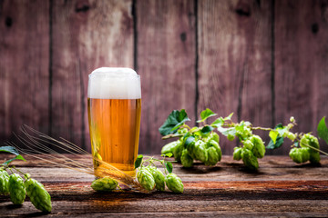 Bier - Alkohol - Spirituosen - Getränk - Hopfen - Gerste - Stutzen- Seidel - Kanne - Glas - 223966355