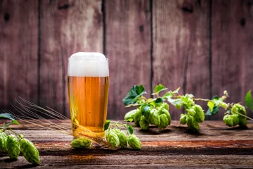 Sierkussen Bier - Alcohol - Sterke drank - Drank - Hop - Gerst - Stutzen - Seidel - Kan - Glas © Lumixera