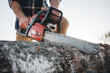 Close up view on bearded strong lumberjack wearing plaid shirt sawing tree with chainsaw for work on sawmill