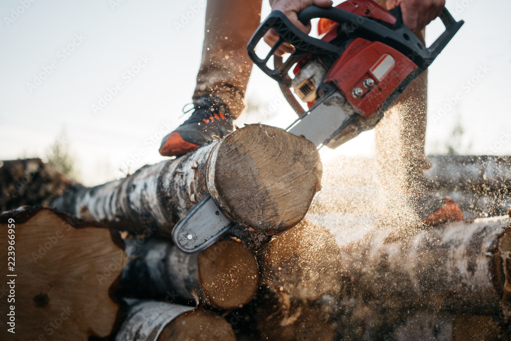 Wall mural Closeup view on strong hand lumberjack and chainsaw. Professional lumberman sawing tree