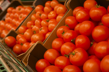 FRESH TOMATOES ON SUPERMARKET SHELF IN CLOSE UP