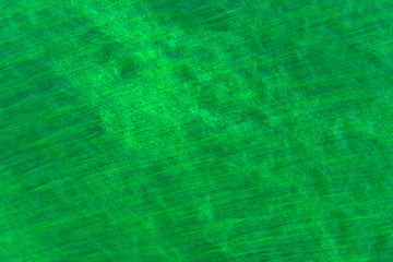 Green algae on the water - beautiful blurred background
