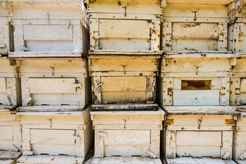 Bee boxes used to pollinate an almond orchard