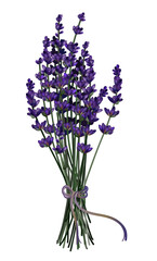 Lavender Bouqet