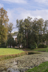Fototapeta na wymiar Autumn landscape, river, park, sunny weather. Pavlovsk, St. Petersburg