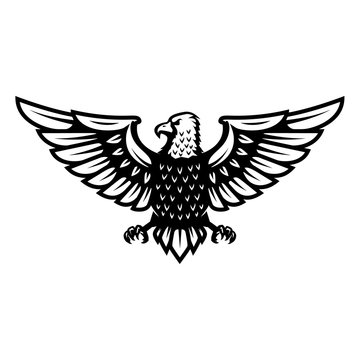 Eagle icon isolated on white background. Design element for logo, label, emblem, sign, badge.