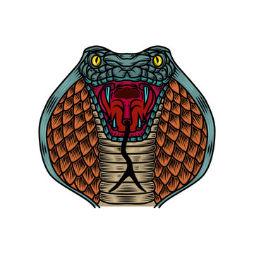 Cobra snake illustration in old school tattoo style. Design element for logo, label, sign, poster, t shirt.