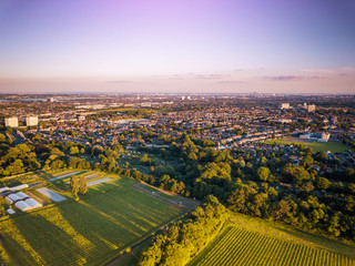 Sunrise aerial view of London City Skyline and famous skyscrapers in the the background above a London housing estate. Taken near the M25, fields and community housing can be seen in the foreground