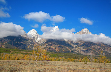 Grand Teton