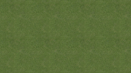 Green grass background 3d render grass.