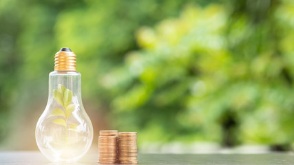 ..Energy saving. tree in light bulb and stacks of coins on nature background. Saving, Natural energy and financial concept.