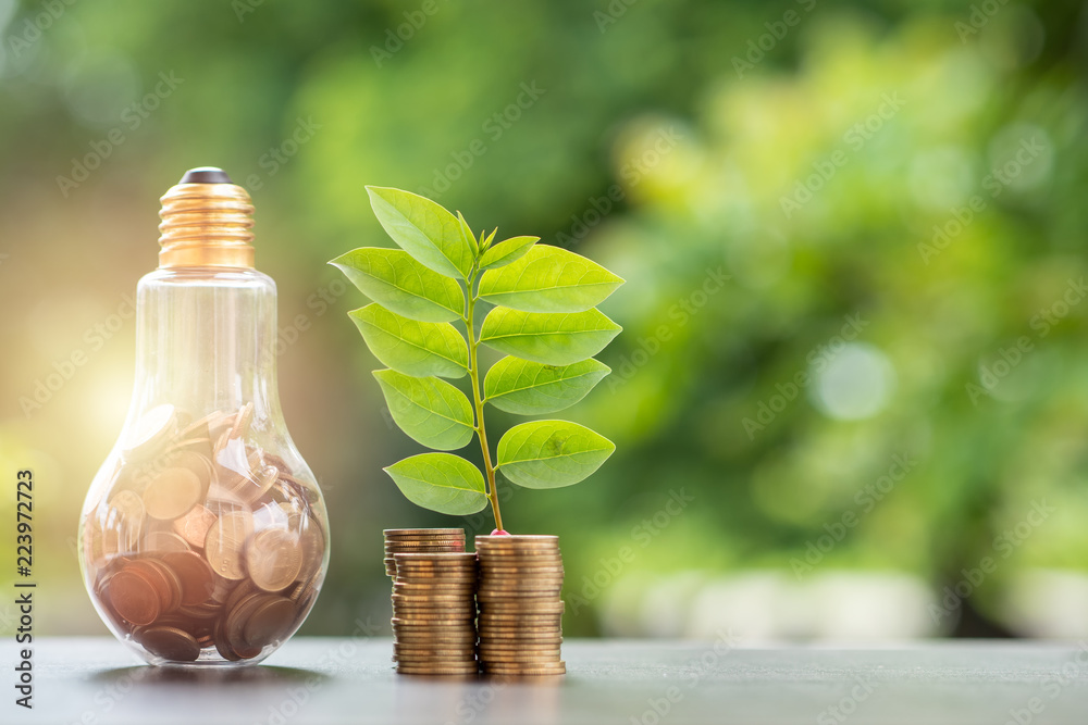 Wall mural energy saving. stacks of coins growing in light bulb and tree growing on stacks of coins and tree na