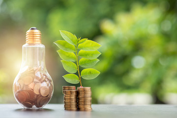 Energy saving. stacks of coins growing in light bulb and tree growing on stacks of coins and tree nature background. Saving, Natural energy and financial concept. - obrazy, fototapety, plakaty