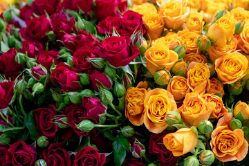 Red and orange roses.