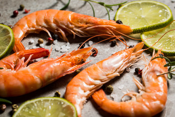 Tiger shrimps with lime, lemon, rosemary and black pepper spices on stone background. Fresh tasty prawns ready to be cooked.