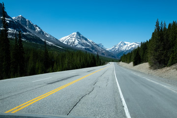 Road detail in national park, Canada