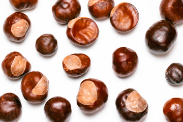 pine cones, chestnuts, acorns and dried leaves on a white background