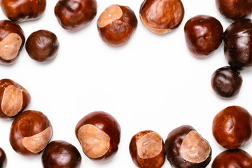 pine cones, chestnuts, acorns and dried leaves on a white background