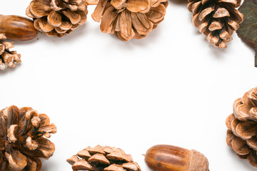 pine cones, chestnuts, acorns and dried leaves on a white background