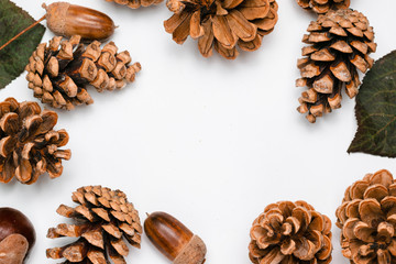 pine cones, chestnuts, acorns and dried leaves on a white background