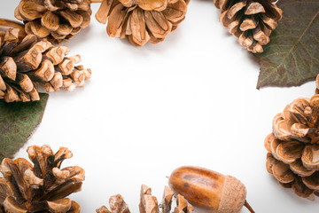 pine cones, chestnuts, acorns and dried leaves on a white background