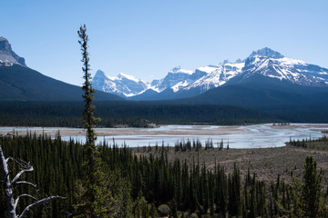 Obraz premium River near Saskatchewan River Crossing on icefield parkway